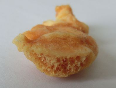 coccyx after cleaning from above