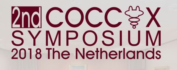 (Flyer for Dordrecht coccyx symposium)