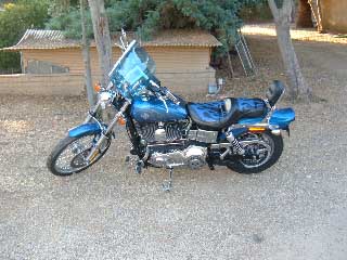harley with tailbone cushion 1